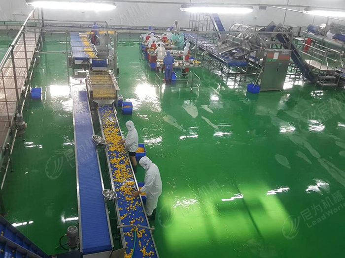 黃桃罐頭生產線